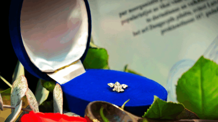 VALSTS SVĒTKOS DAUGAVPILĪ GODINĀTI…