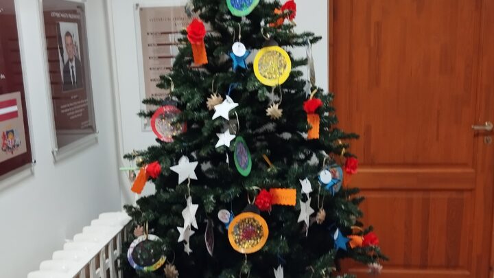 Eglītes rotāšana!